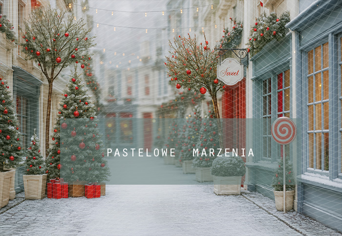 Fabric photographic background from the Christmas category, Crop 290x200 cm