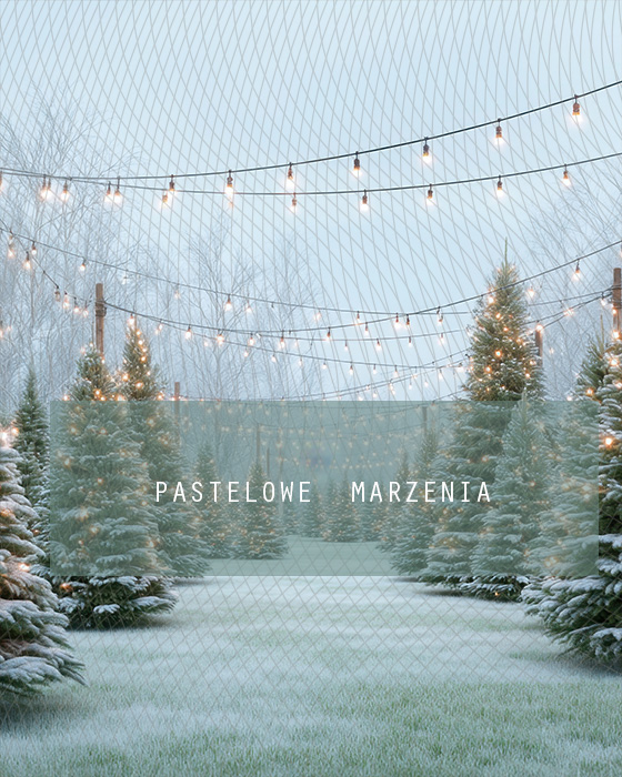 Fabric photographic background from the Christmas category, Crop 200x250 cm
