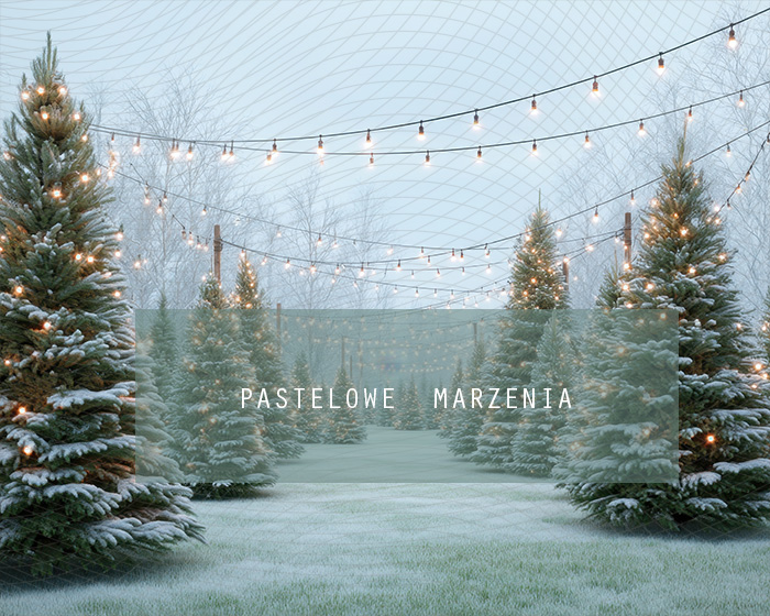 Fabric photographic background from the Christmas category, Crop 250x200 cm