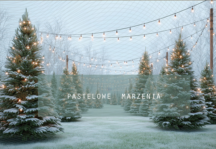 Fabric photographic background from the Christmas category, Crop 290x200 cm