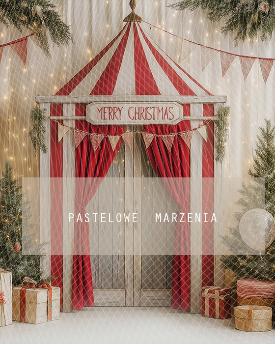 Fabric photographic background from the Christmas category, Crop 200x250 cm