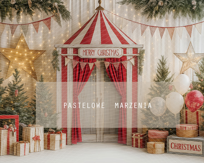 Fabric photographic background from the Christmas category, Crop 250x200 cm