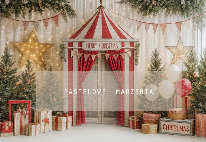 Fabric photographic background from the Christmas category, Crop 290x200 cm