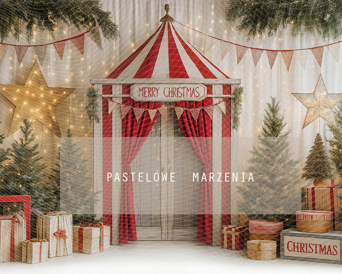Fabric photographic background from the Christmas category, Crop 250x200 cm