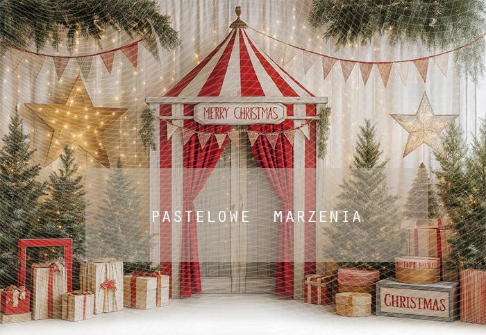 Fabric photographic background from the Christmas category, Crop 290x200 cm