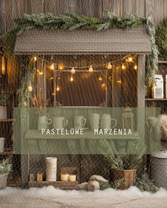 Tło fotograficzne materiałowe z kategorii Boże Narodzenie, Kadr 200x250 cm