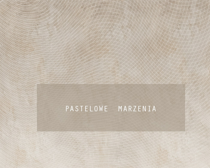 Tło fotograficzne materiałowe z kategorii Ściany, Kadr 250x200 cm