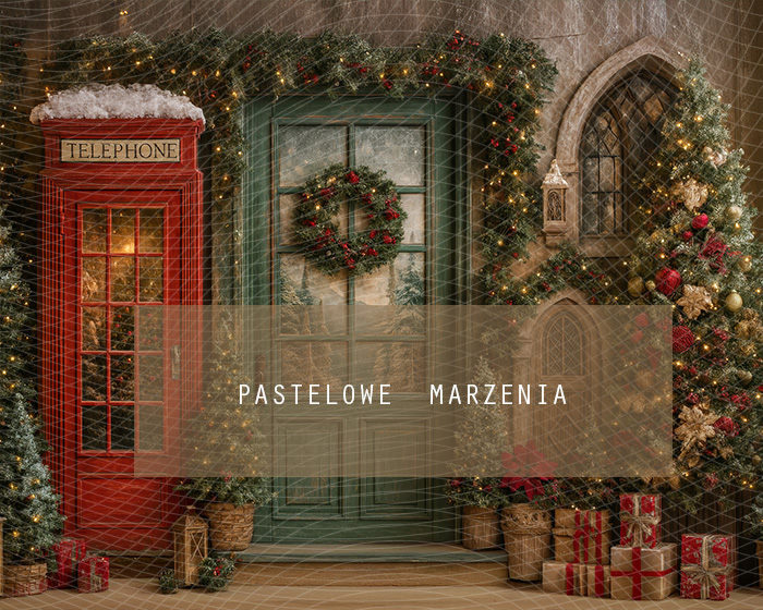 Tło fotograficzne materiałowe z kategorii Zima, Kadr 250x200 cm