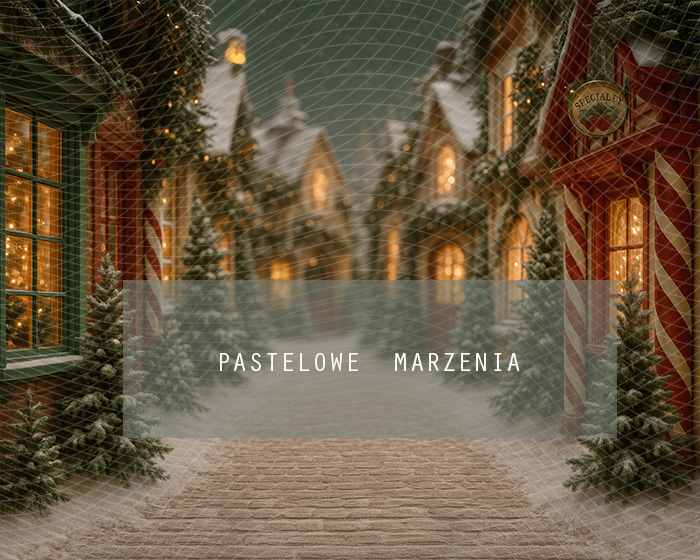 Tło fotograficzne materiałowe z kategorii Zima, Kadr 250x200 cm