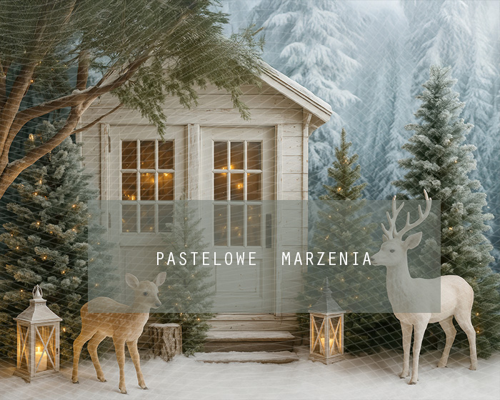 Tło fotograficzne materiałowe z kategorii zima Kadr 250x200 cm