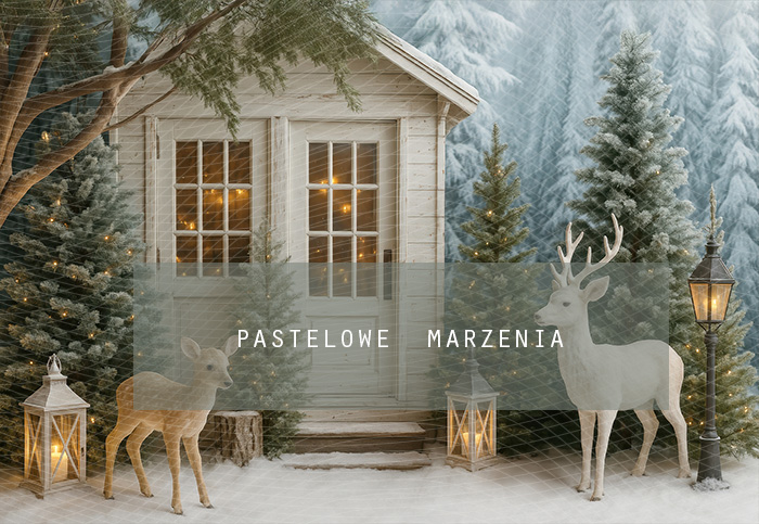 Tło fotograficzne materiałowe z kategorii zima Kadr 250x200 cm