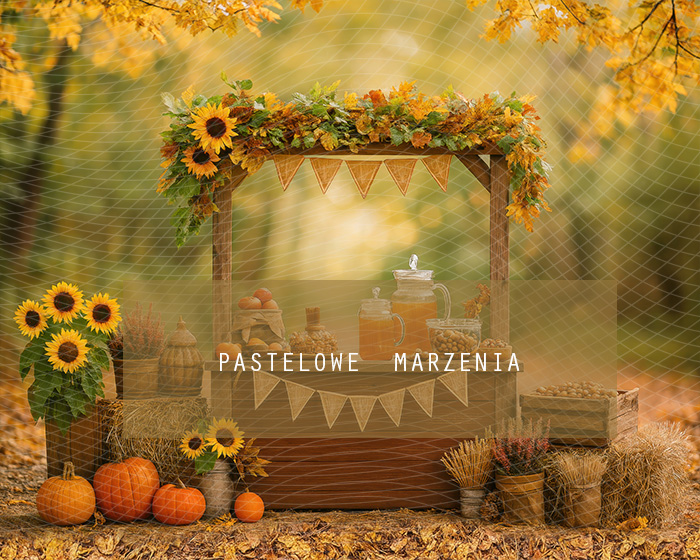 Tło fotograficzne materiałowe z kategorii jesieńKadr 250x200 cm
