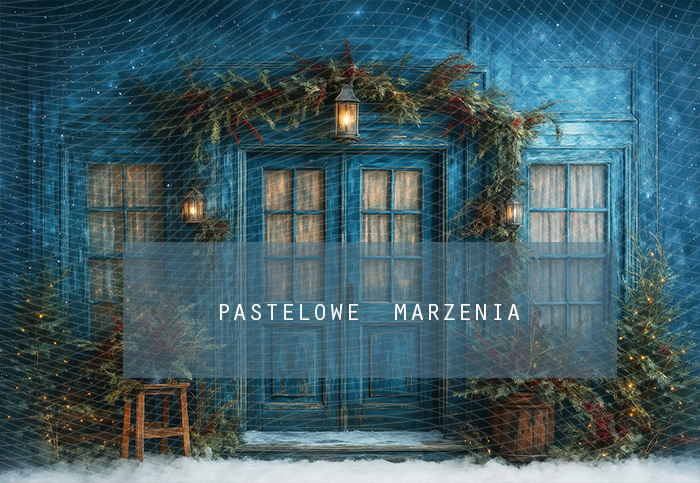 Tło fotograficzne materiałowe z kategorii zima Kadr 250x200 cm
