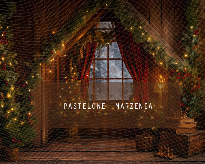 Tło fotograficzne materiałowe z kategorii zima 250x200 cm