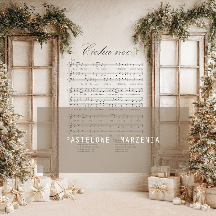 Tło fotograficzne materiałowe z kategorii zima Kadr 250x250 cm