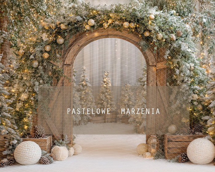 Tło fotograficzne materiałowe z kategorii zima 250x200 cm