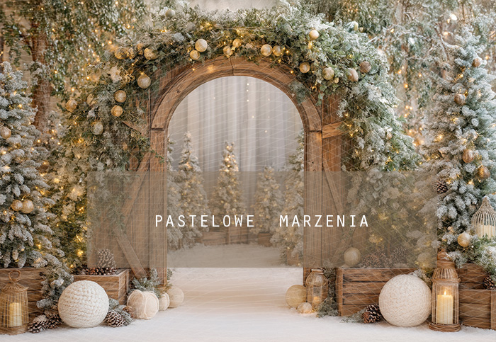 Tło fotograficzne materiałowe z kategorii zima Kadr 250x200 cm