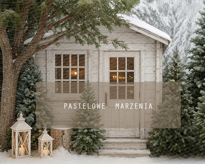 Tło fotograficzne materiałowe z kategorii zima 250x200 cm