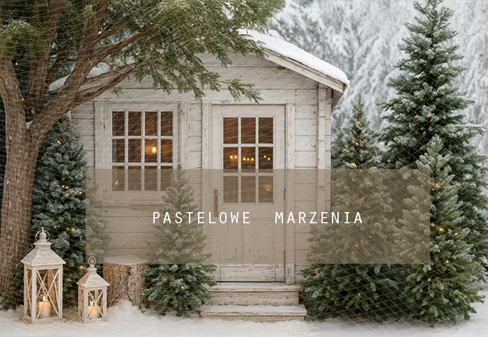 Tło fotograficzne materiałowe z kategorii zima Kadr 250x200 cm