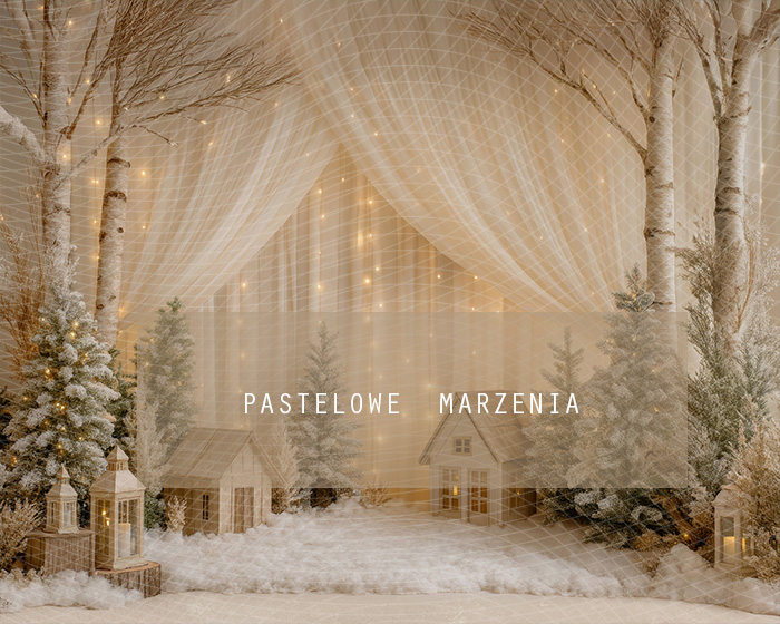 Tło fotograficzne materiałowe z kategorii zima 250x200 cm
