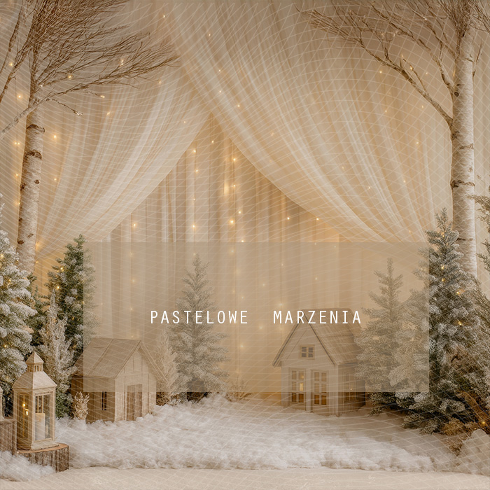 Tło fotograficzne materiałowe z kategorii zima Kadr 250x250 cm