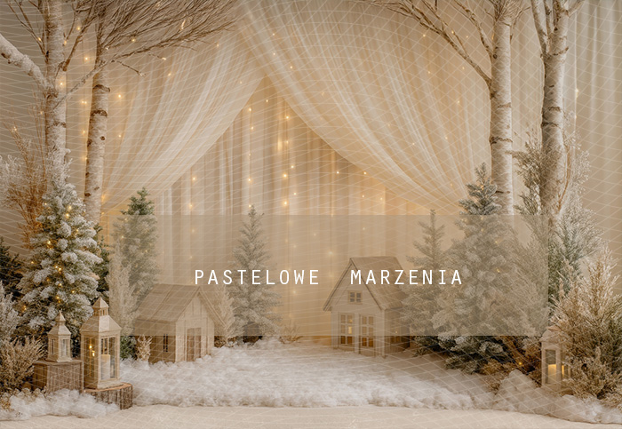 Tło fotograficzne materiałowe z kategorii zima Kadr 250x200 cm
