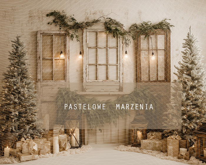 Tło fotograficzne materiałowe z kategorii zima 250x200 cm