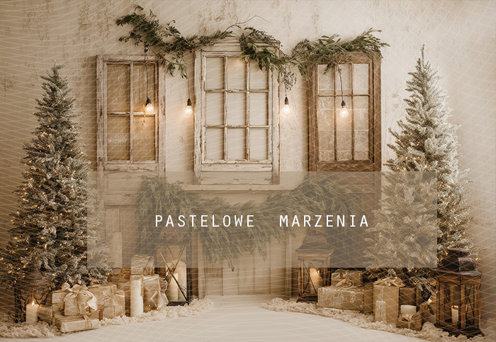 Tło fotograficzne materiałowe z kategorii zima Kadr 250x200 cm