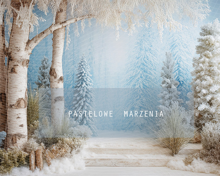 Tło fotograficzne materiałowe z kategorii Boże Narodzenie, Kadr 250x200 cm
