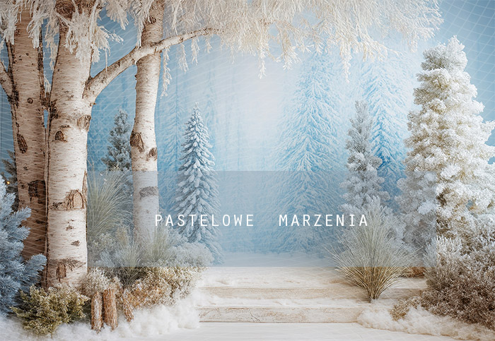 Tło fotograficzne materiałowe z kategorii Boże Narodzenie, Kadr 290x200 cm