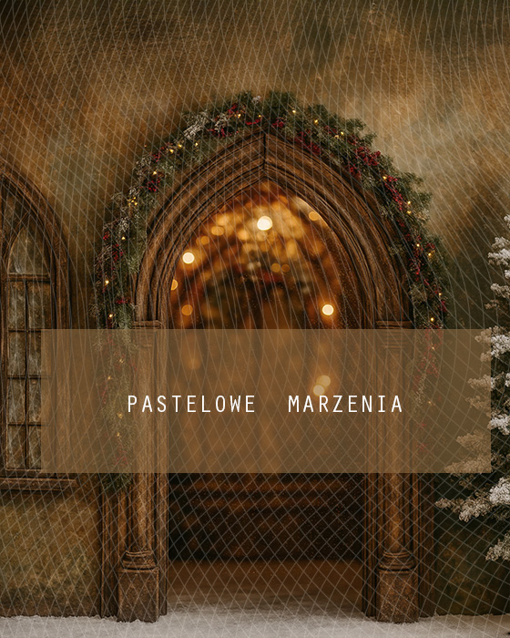 Fabric photographic background from the Christmas category, Crop 200x250 cm