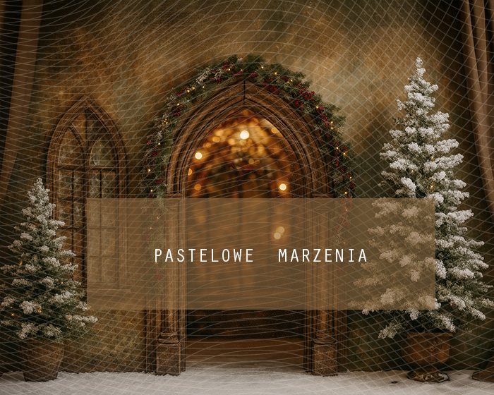 Fabric photographic background from the Christmas category, Crop 250x200 cm