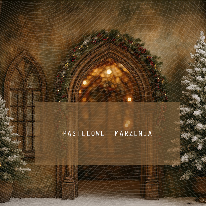 Fabric photographic background from the Christmas category, Crop 250x250 cm