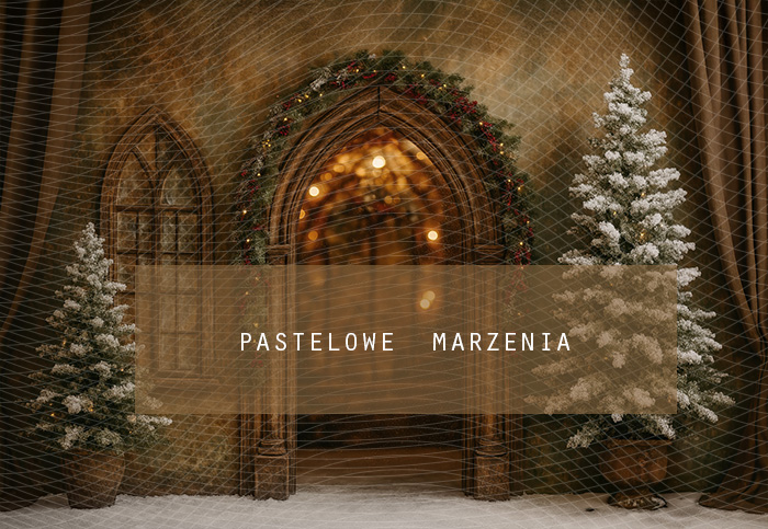 Fabric photographic background from the Christmas category, Crop 290x200 cm