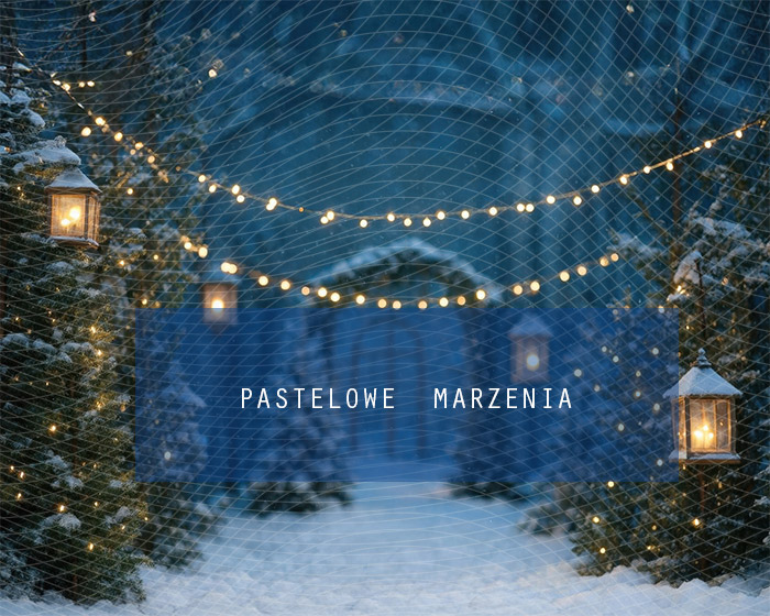 Fabric photographic background from the Christmas category, Crop 250x200 cm