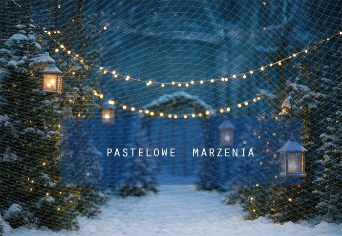 Fabric photographic background from the Christmas category, Crop 290x200 cm