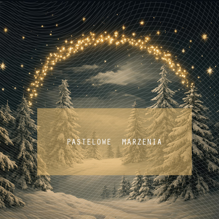 Fabric photographic background from the Christmas category, Crop 250x250 cm