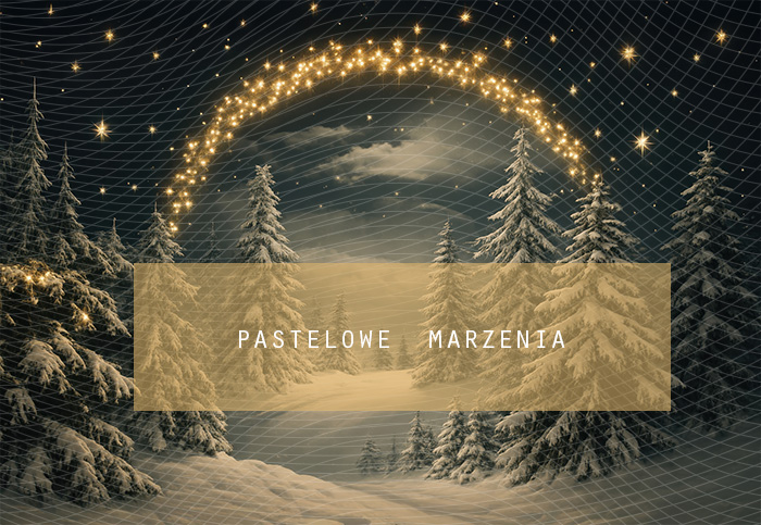 Fabric photographic background from the Christmas category, Crop 290x200 cm