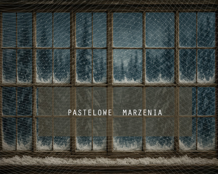 Fabric photographic background from the Christmas category, Crop 250x200 cm