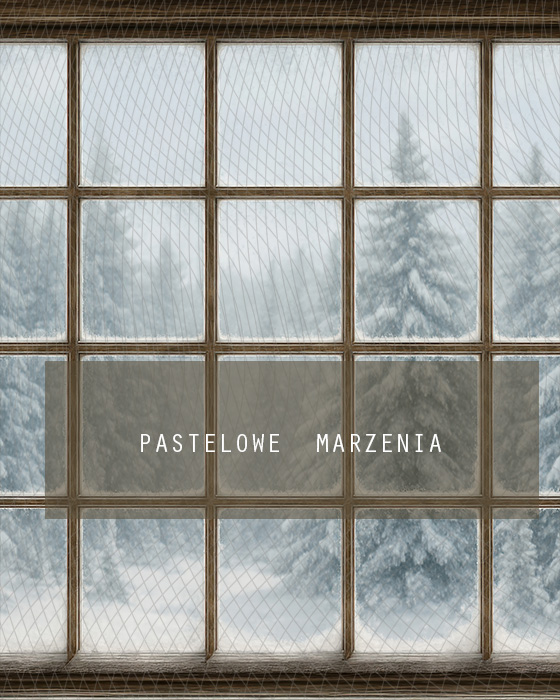 Fabric photographic background from the Christmas category, Crop 200x250 cm