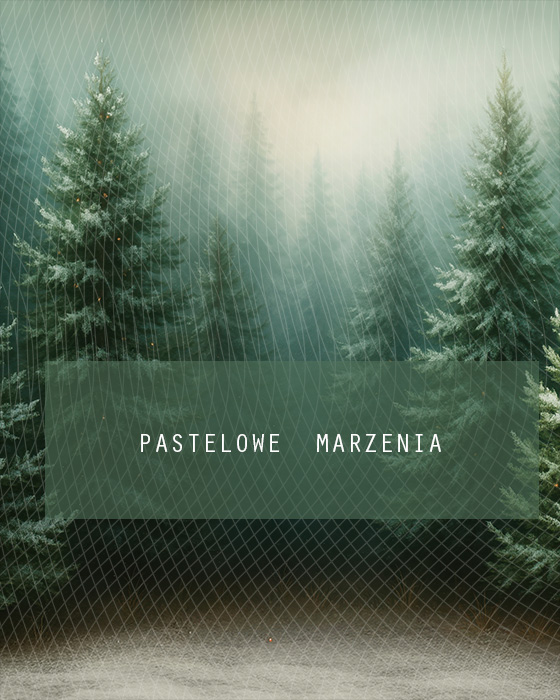 Fabric photographic background from the Christmas category, Crop 200x250 cm