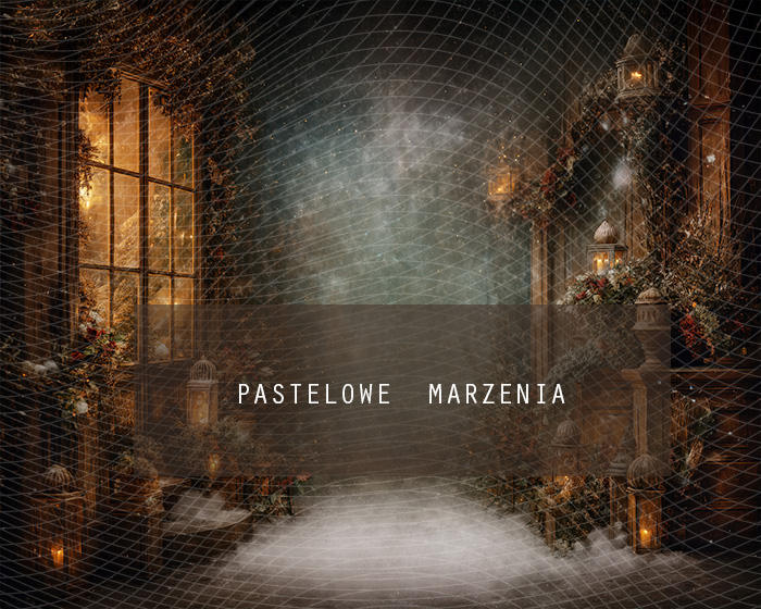Fabric photographic background from the Christmas category, Crop 250x200 cm