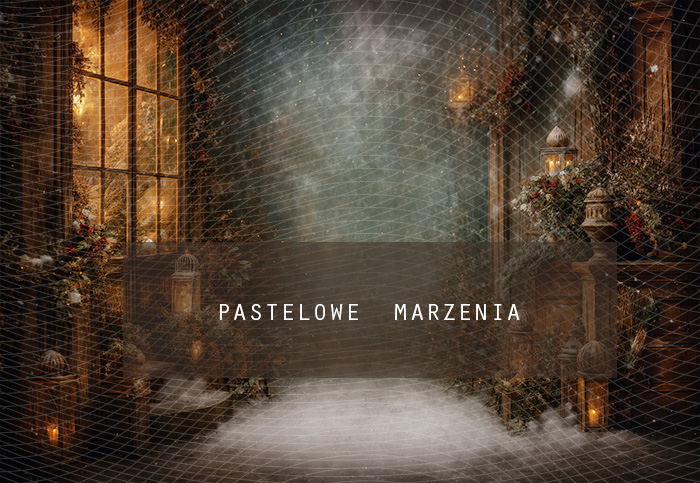 Fabric photographic background from the Christmas category, Crop 290x200 cm