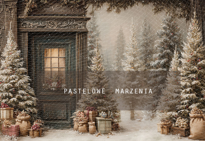 Tło fotograficzne materiałowe z kategorii Boże Narodzenie, Kadr 290x200 cm