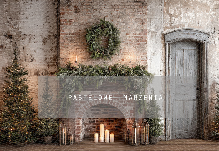 Fabric photographic background from the Christmas category, Crop 290x200 cm