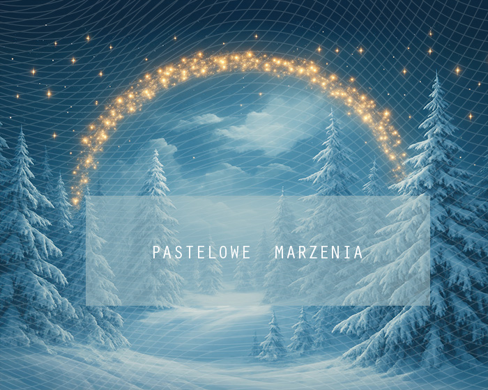 Fabric photographic background from the Christmas category, Crop 250x200 cm