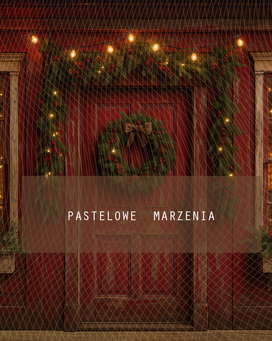 Fabric photographic background from the Christmas category, Crop 200x250 cm