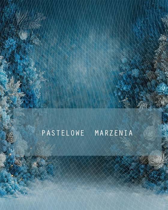 Tło fotograficzne materiałowe z kategorii Boże Narodzenie, Kadr 200x250 cm