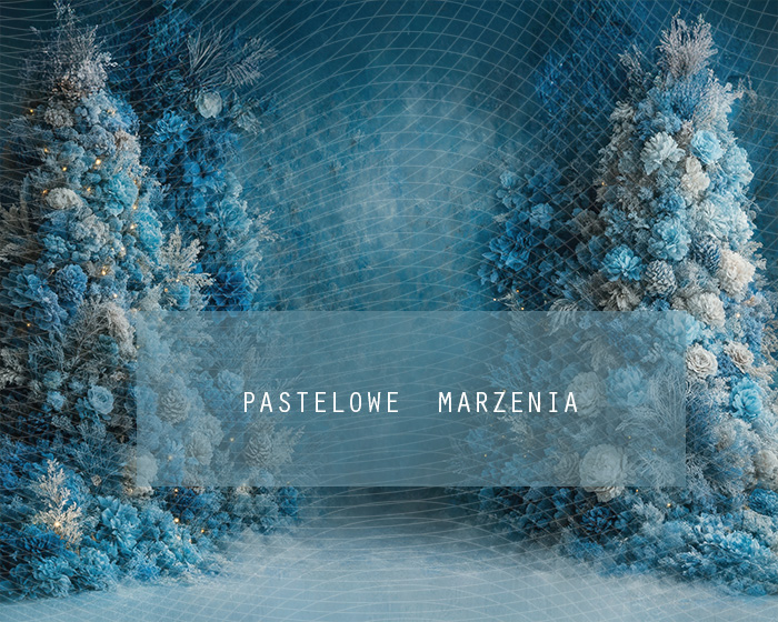 Tło fotograficzne materiałowe z kategorii Boże Narodzenie, Kadr 250x200 cm