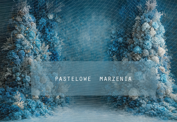 Tło fotograficzne materiałowe z kategorii Boże Narodzenie, Kadr 290x200 cm